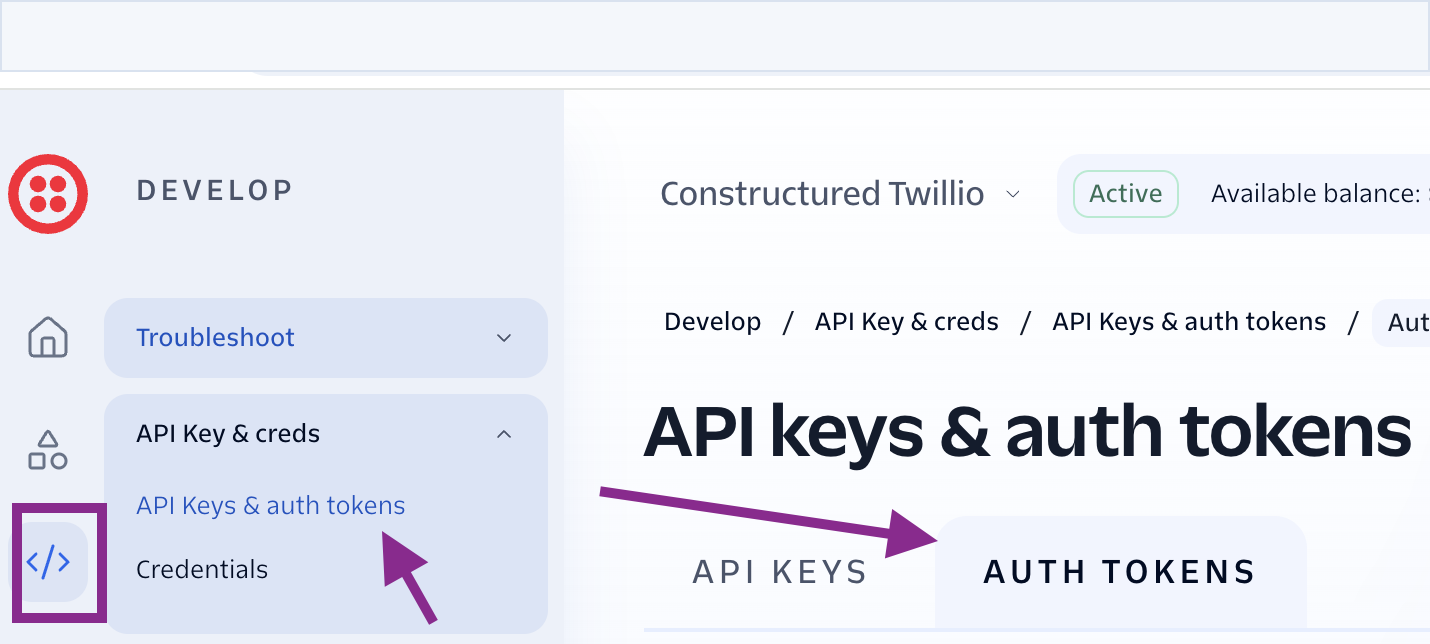Twilio Console account authentication area used to find account credentials, with the browser bar redacted